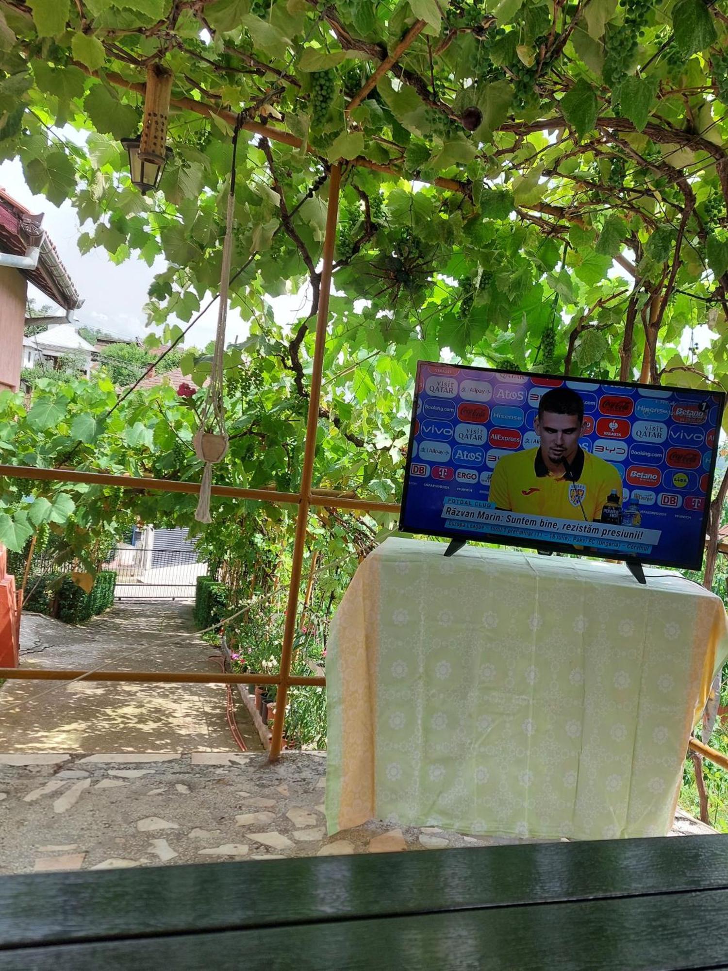 Casuta dintre dealuri Vladesti Exterior foto