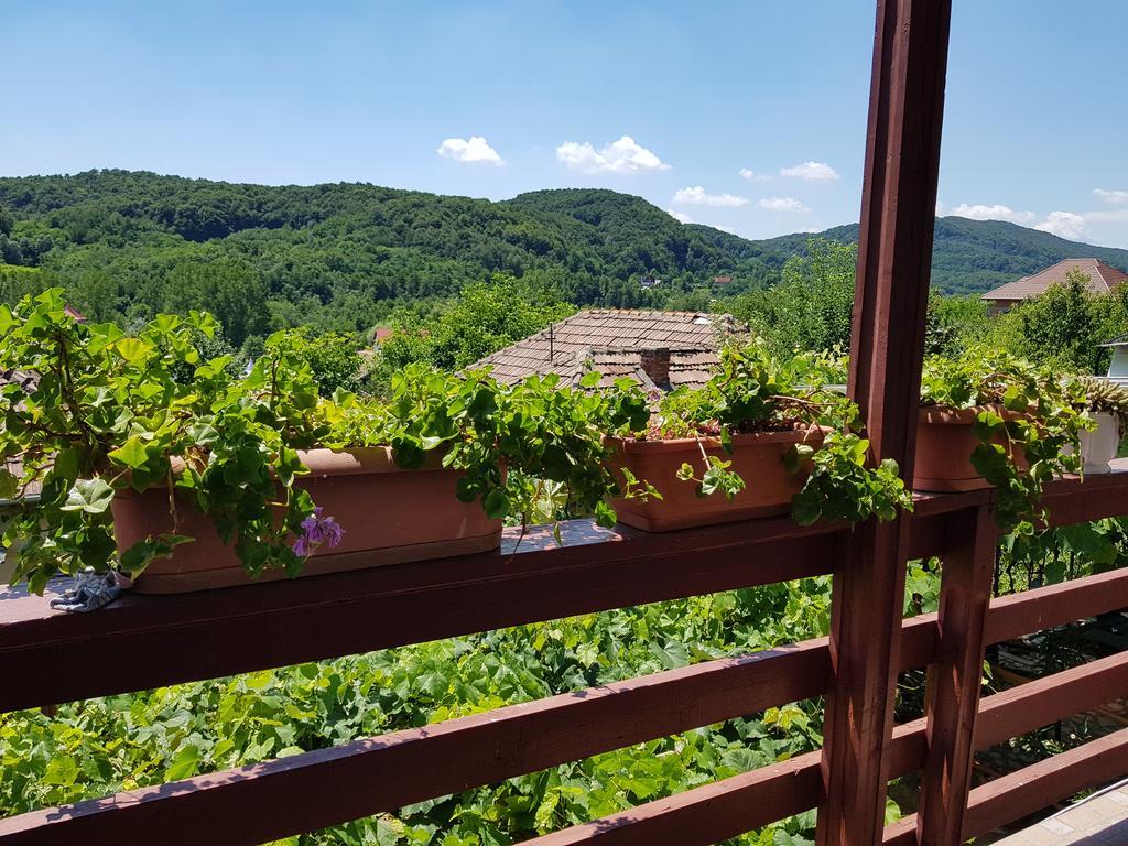 Casuta dintre dealuri Vladesti Exterior foto